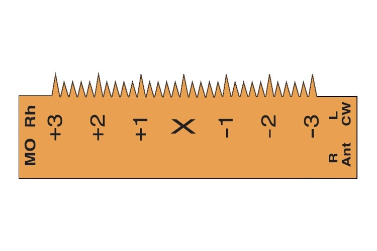 xr-m3_750x500