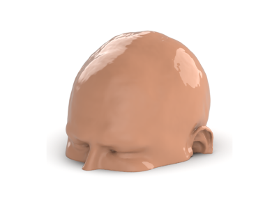 Head Phantom