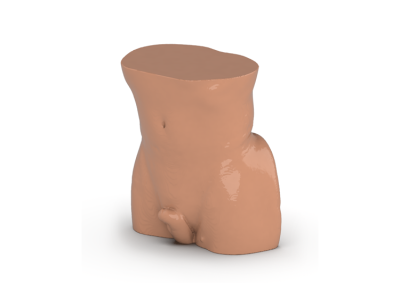 Abdomen / Pelvis Phantom
